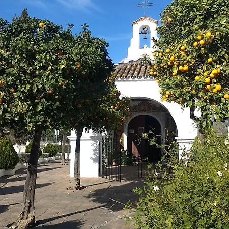 بيت للعطل Casa Trigo Cómpeta